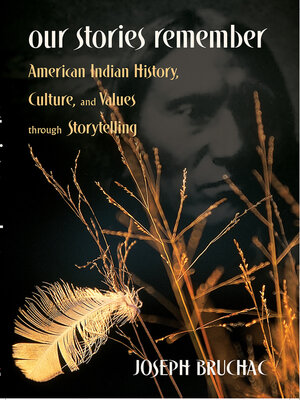 cover image of Our Stories Remember